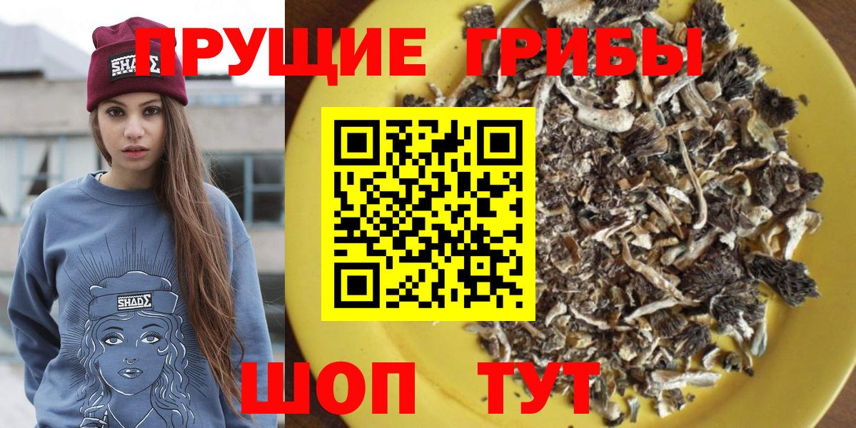 Псилоцибиновые грибы Cubensis Десногорск